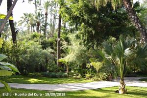 19 ELCHE HUERTO DEL CURA (52)
